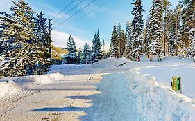 Snowblaze Studio